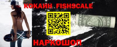 гидропоника Новозыбков