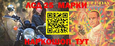 гидропоника Новозыбков