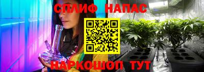 гидропоника Новозыбков