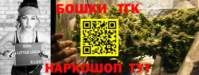 дмт Новокубанск