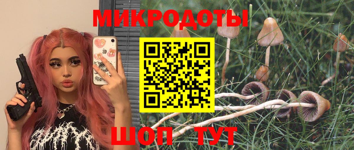 Конопля Советская Гавань
