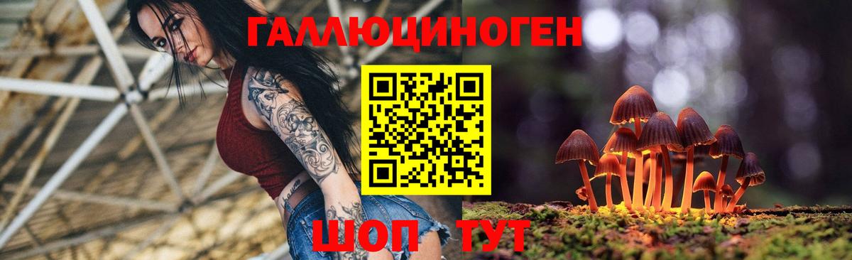 Псилоцибиновые грибы мицелий Советская Гавань